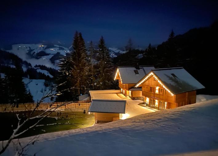 Bergseegut Chalet Und Apartment 瓦格赖恩 外观 照片