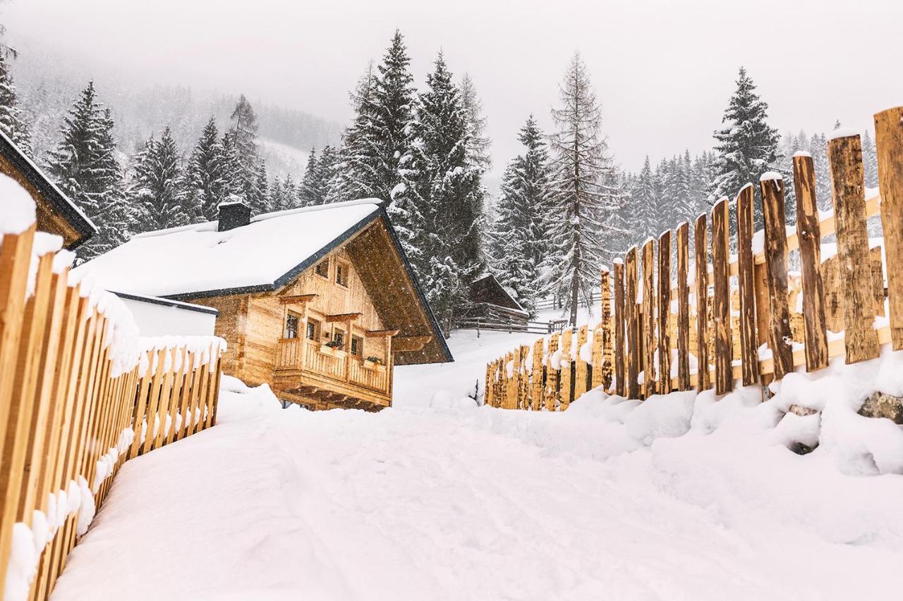 Bergseegut Chalet Und Apartment 瓦格赖恩 外观 照片