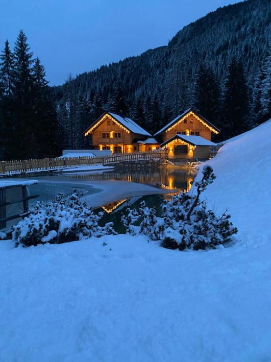 Bergseegut Chalet Und Apartment 瓦格赖恩 外观 照片